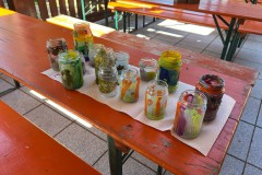 Bild11