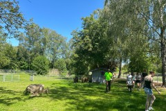 Bild2