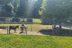 Bild5