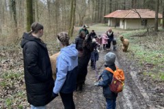 Bild-6