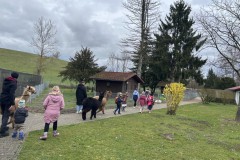Bild-8