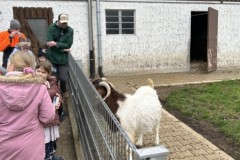 Bild-10