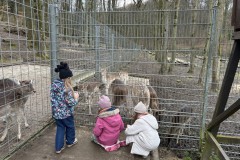Bild-11