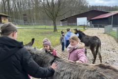 Bild-14