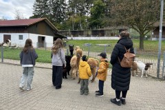 Bild-3