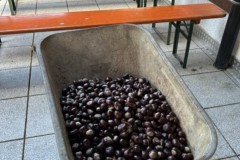 Bild-5-1
