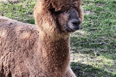 127523eb-fbf1-42f0-a4b3-a7cf87763497