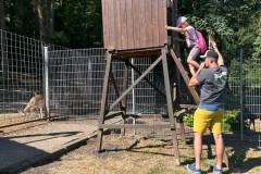 Bild1-1