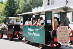Beitragsbild-2