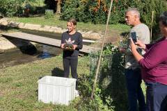 2026.09.26-Teich-Bild-3